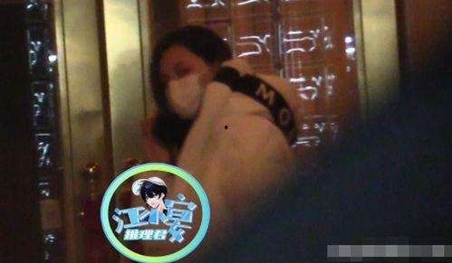 娱乐吃瓜 汪小菲是谁呀,汪小菲的星光之路与吃瓜热议